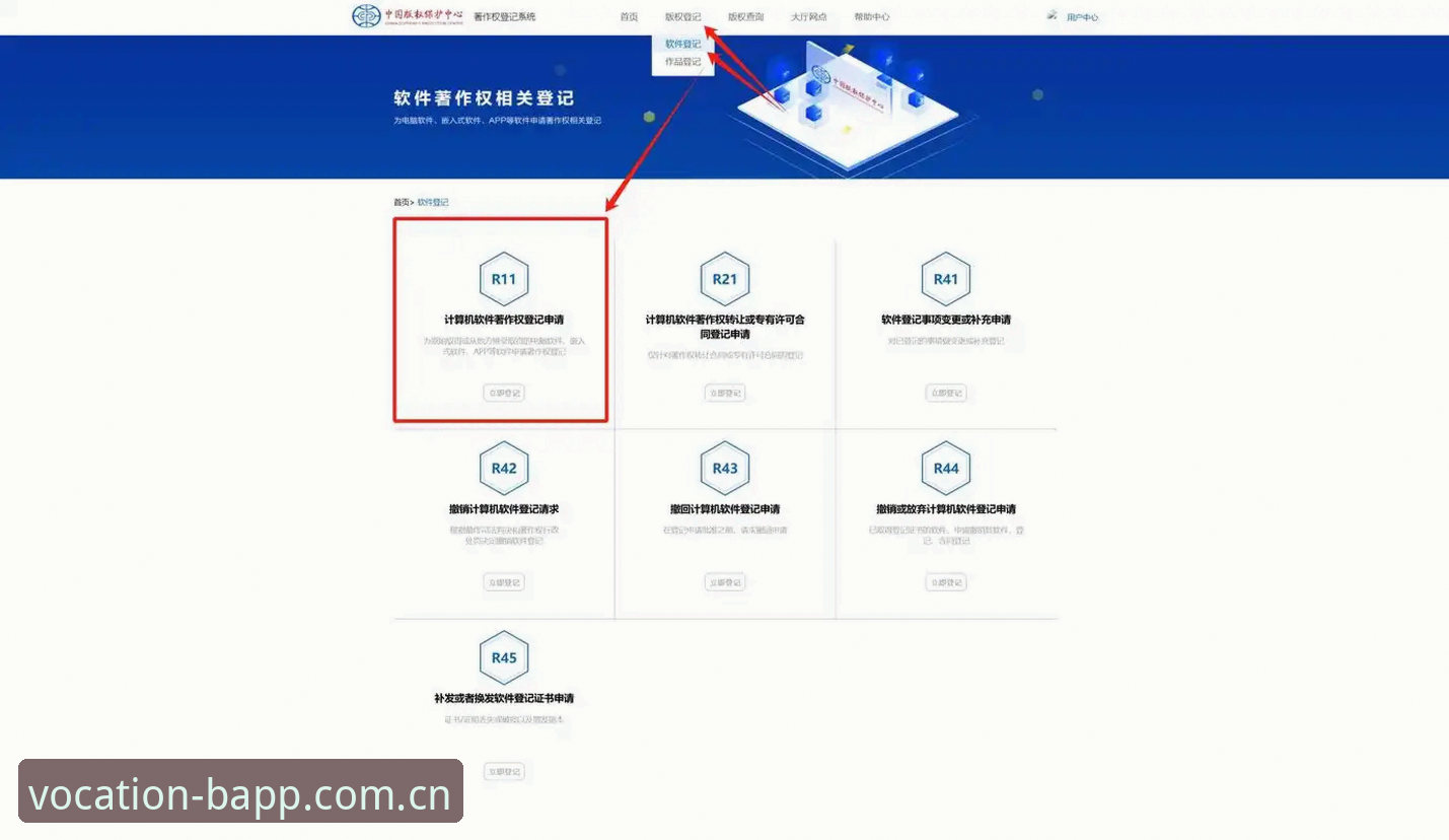 BAPP中国官网入口的路径选择：一个老用户对FN-Vocation生态的深度分析